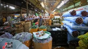 تحديثات الأسعار.. تكلفة الخضروات في أسواق الأقصر خلال تعاملات الخميس 29 يناير 2026